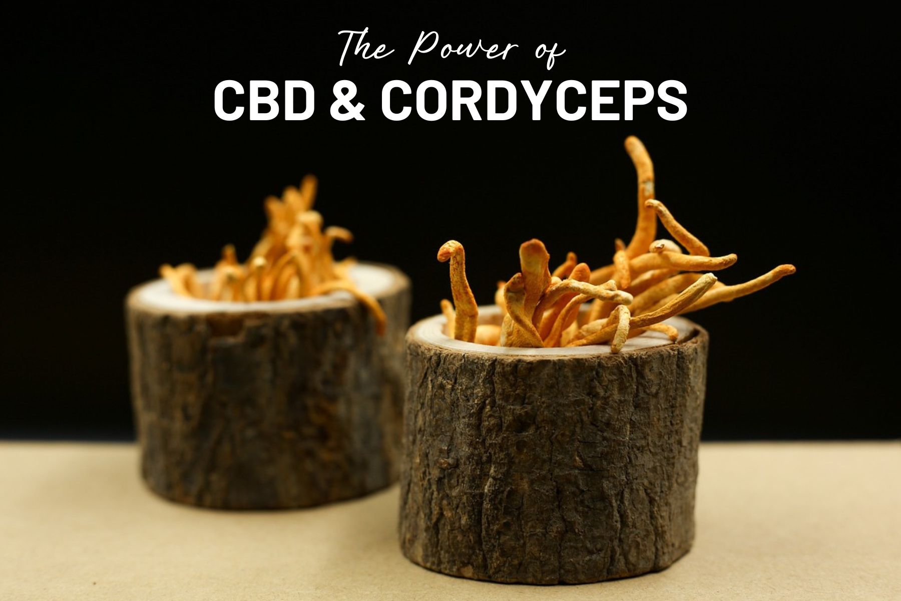 Nurturing Nature: Unveiling the Power of CBD and Mother Earth’s Cordyceps Capsules for Optimal Well-being